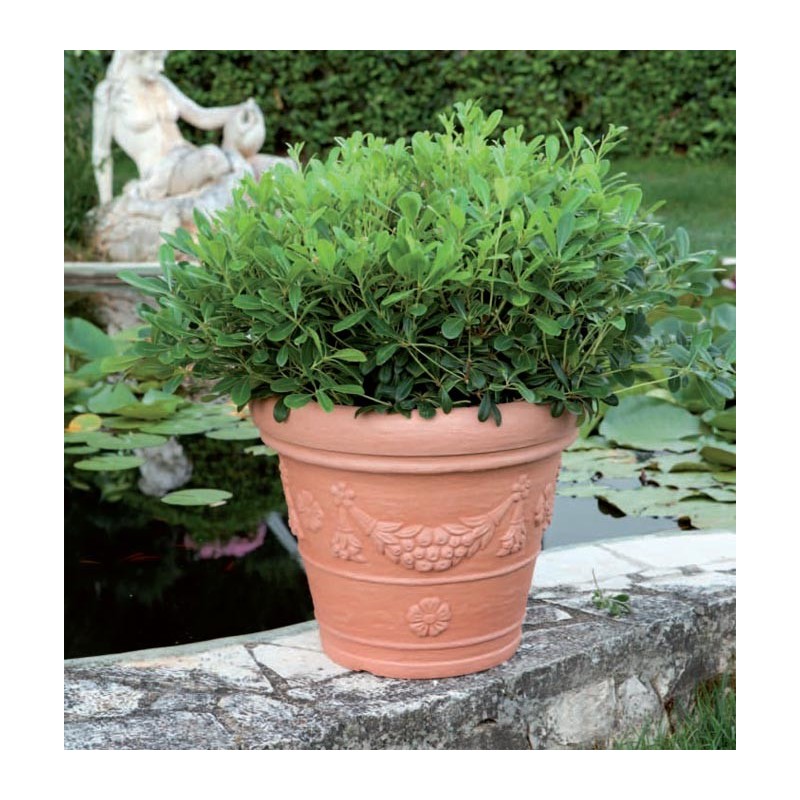 Campana Tropea Pot Campana Tropea Pot