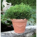 Campana Tropea Pot