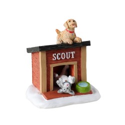Scout'S Home Cod. 34098