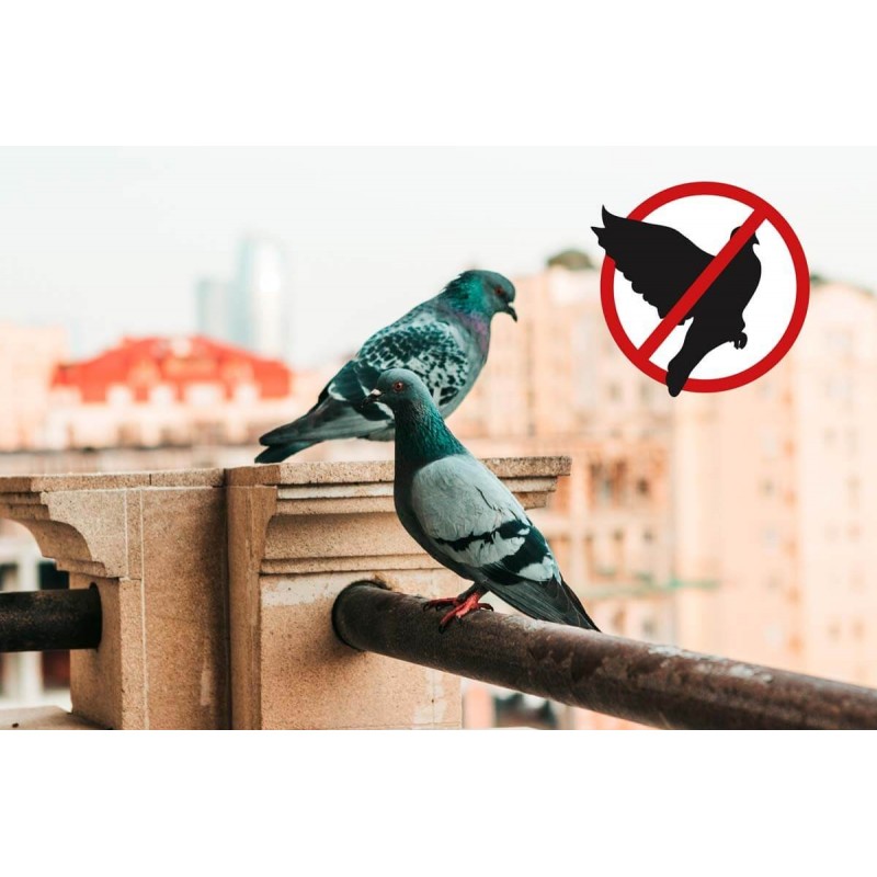Geyser Nebulizer Stocker Mini 2 L Li-Ion 2.5 Bar for Mosquitoes and Pigeons Geyser Nebulizer Stocker Mini 2 L Li-Ion 2.5 Bar for Mosquitoes and Pigeons