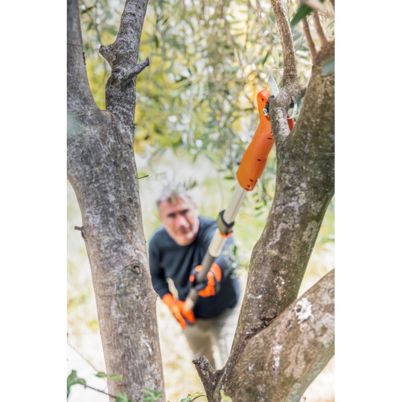 Telescopic Electric Pruning Shears Stocker Magma E-35 TR 21V 210-320 cm Telescopic Electric Pruning Shears Stocker Magma E-35 TR 21V 210-320 cm