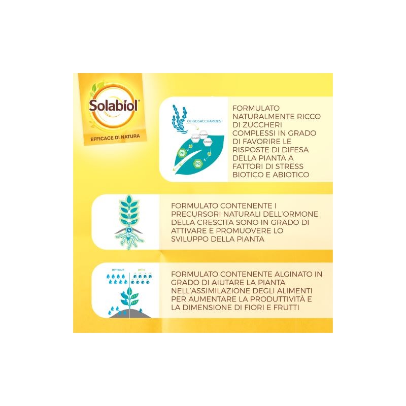 Concime Liquido Piante Fiorite 1 l SBM