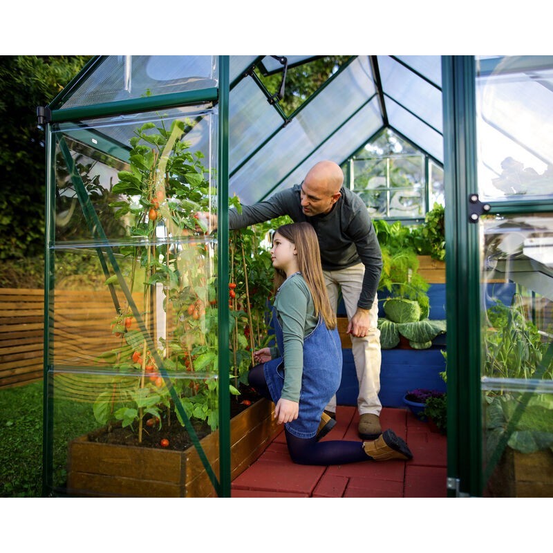Canopia Hybrid Garden Greenhouse in Polycarbonate 126X185X208 cm Green Canopia Hybrid Garden Greenhouse in Polycarbonate 126X185X208 cm Green