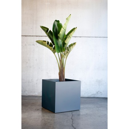 Herstera PLANTER CUBE 80 in Metal Anthracite 80x80x80 cm