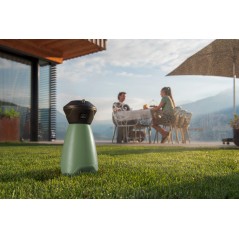 Geyser Portable Nebulizer Stocker 2 L Green