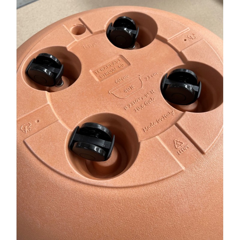 Set ruote Swivel per Aura Insula Trama Bold Ever Set ruote Swivel per Aura Insula Trama Bold Ever