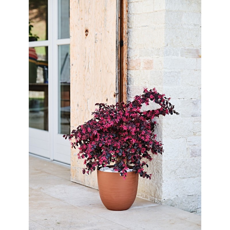 Vase Over Eco Green Vase Over Eco Green