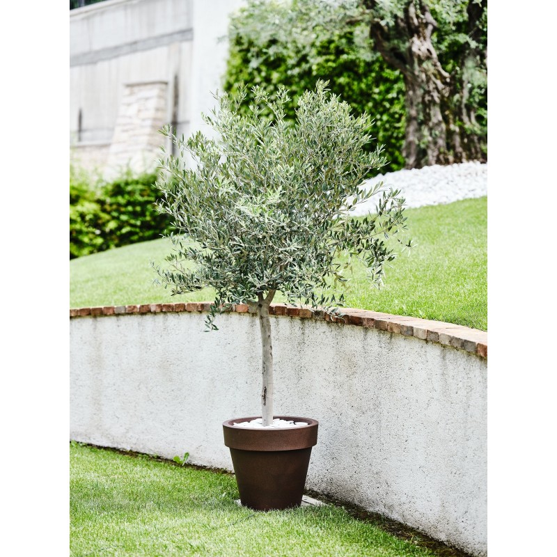 Standard One vase Standard One vase