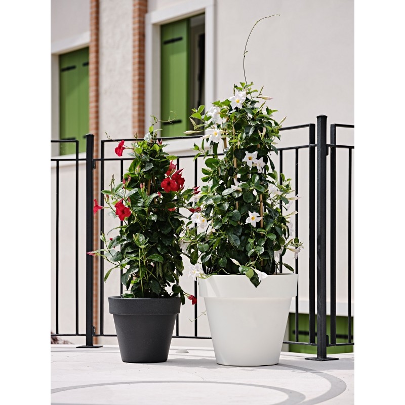 Standard One vase Standard One vase