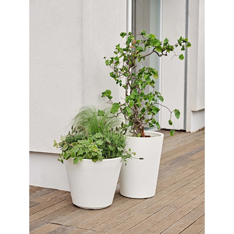Zamora Pot