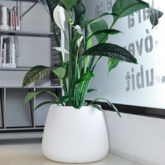 Campana Bubble Pot