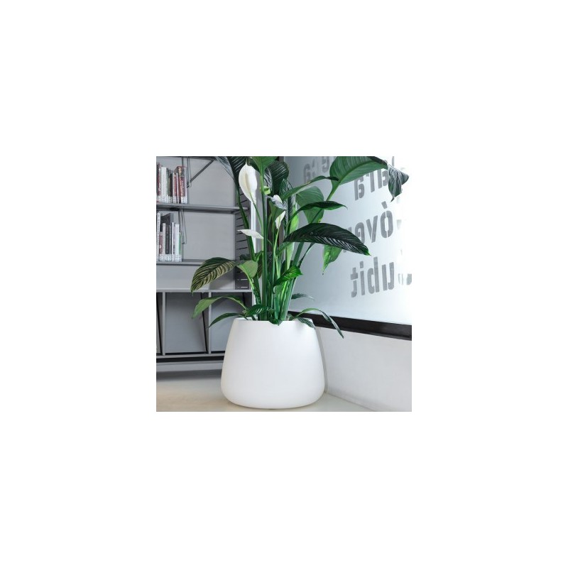 Campana Bubble Pot Campana Bubble Pot