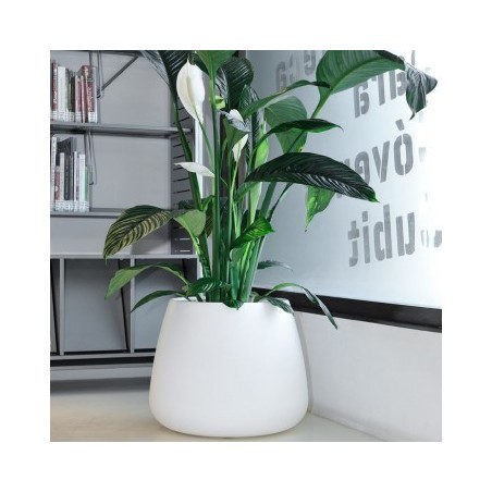 Campana Bubble Pot