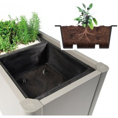 Plant Insert for BELVEDERE Metal Planter Biohort