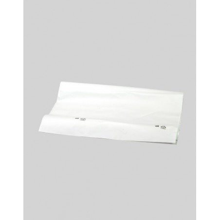 Replacement Bags for Popillia Japonica InVerde - 10 pieces