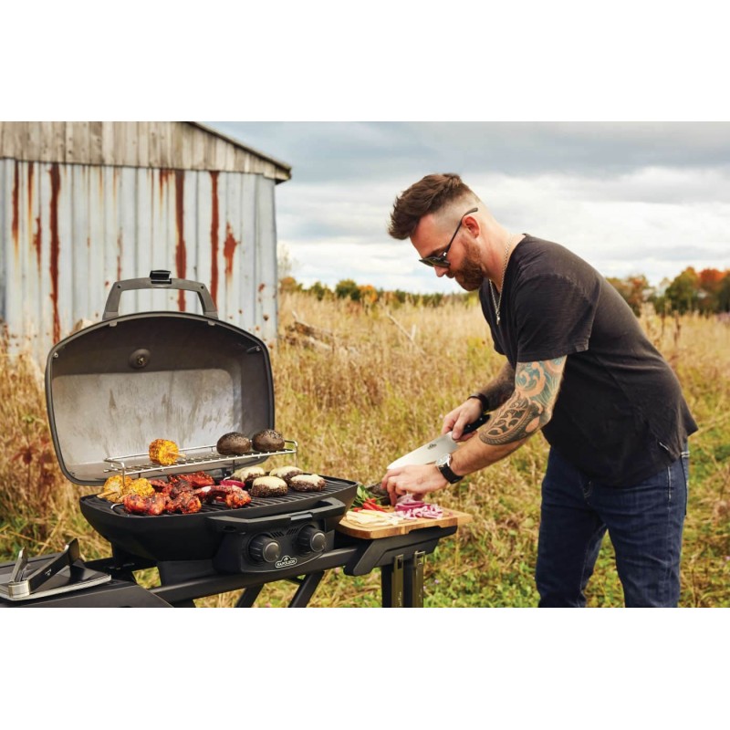 Napoleon gas barbecue PHANTOM TravelQ code PRO285XMK Napoleon gas barbecue PHANTOM TravelQ code PRO285XMK