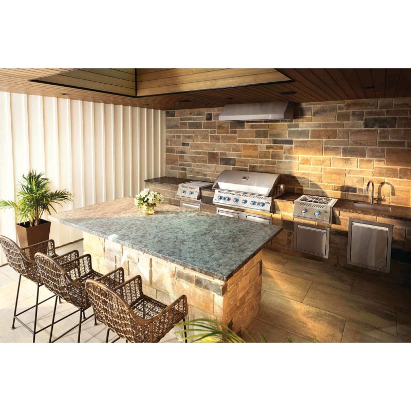 Napoleon built-in gas barbecue BUILT-IN 700 44 stainless steel code BIG44RBPSS