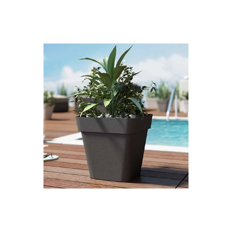 Cleo square vase Cleo square vase