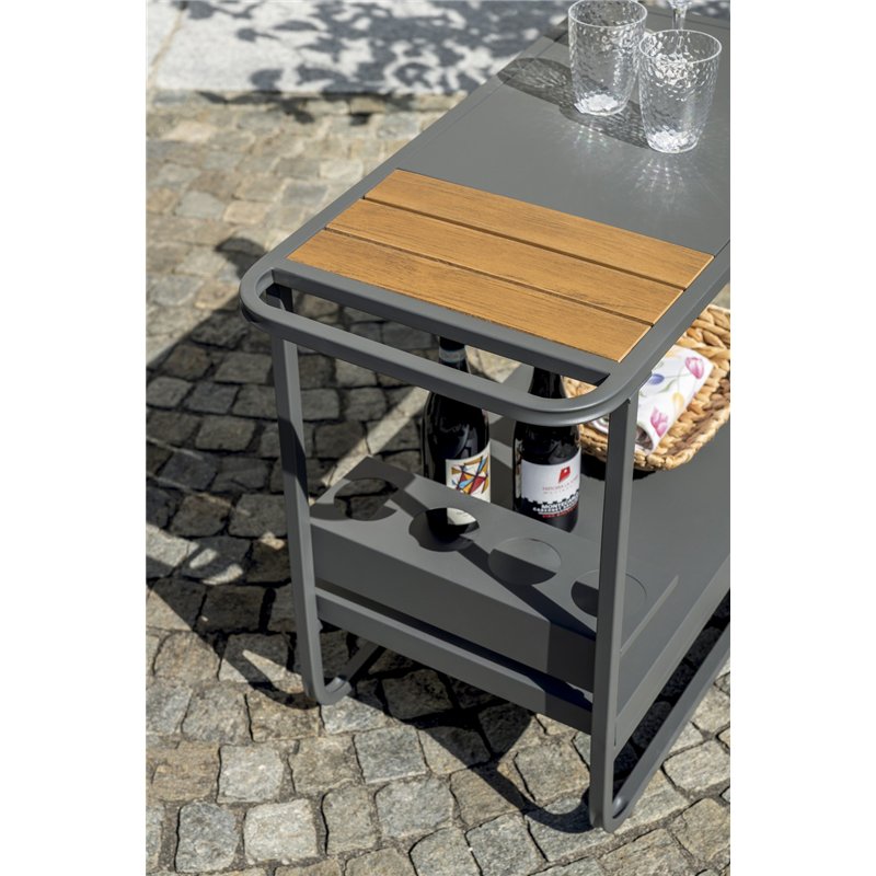 Greenwood Carrello Con Ruote In Ferro e Resin Wood - Antracite