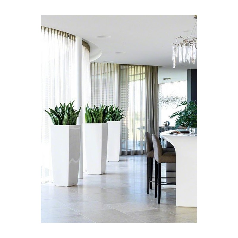 Lechuza Tall Cubic Vase Complete Set Lechuza Tall Cubic Vase Complete Set