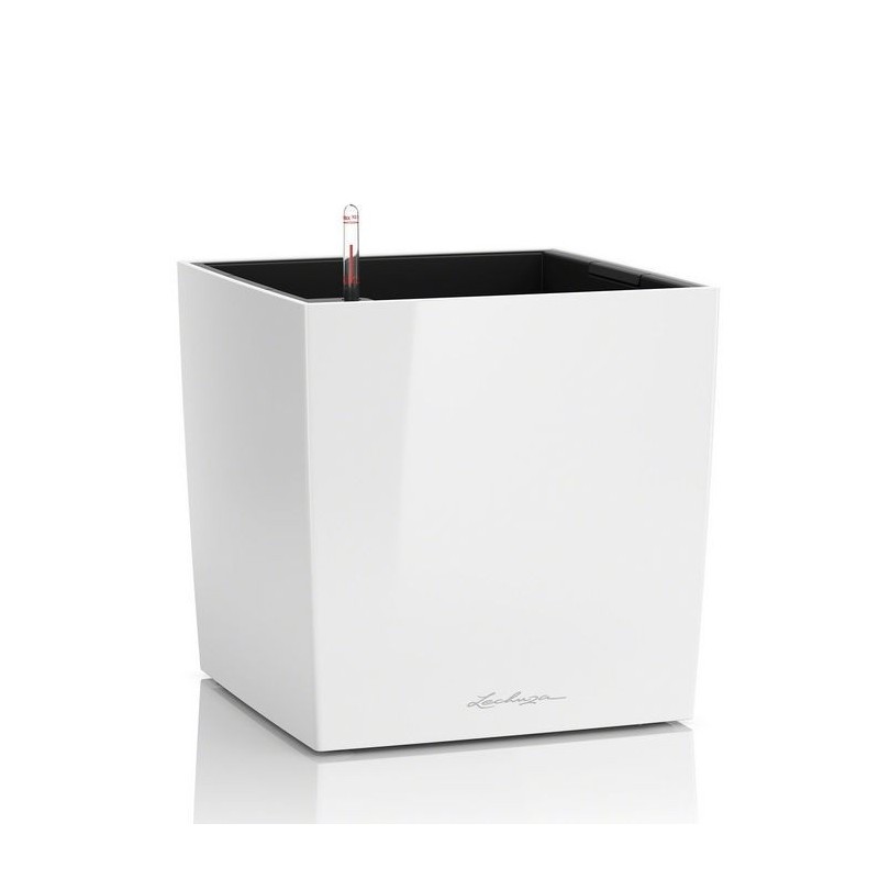 Vaso Cube 50 Lechuza Set Completo