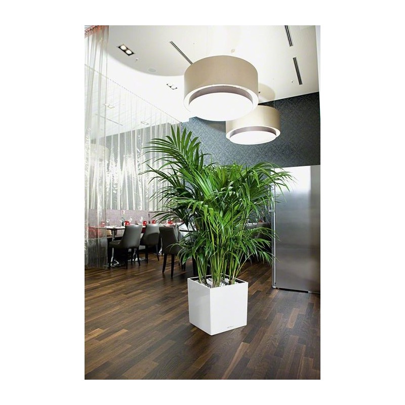 Vaso Cube 50 Lechuza Set Completo