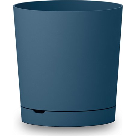 Vaso Maddie