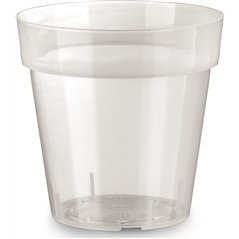 Vaso Iris Trasparente