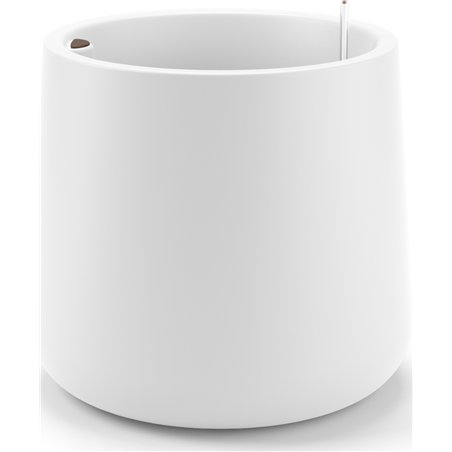 Eve Pot