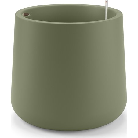 Vaso Eve