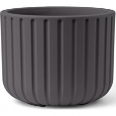 Vaso Echo