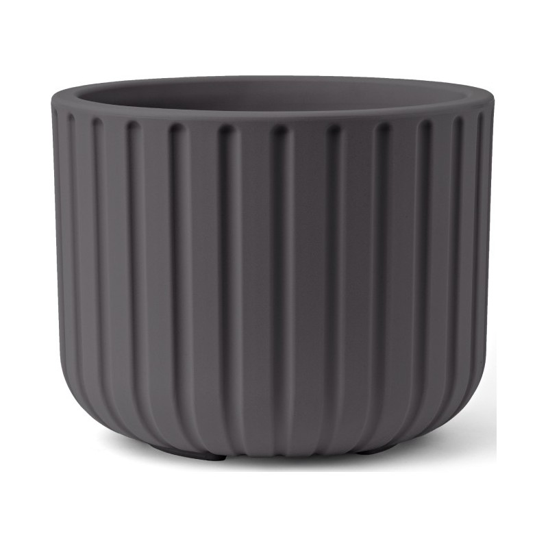 Vaso Echo Vaso Echo