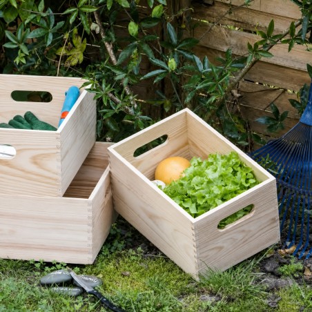 Box Sovrapponibile in Pino 40x30x23 cm Unionwood
