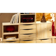 Mobile Modulare in Pino Massiccio Grezzo con 1 Ripiano 36x30x36 cm Unionwood