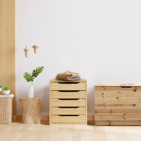 Cassettiera in Pino Massiccio Grezzo 5 Cassetti 39x30x46 cm Unionwood