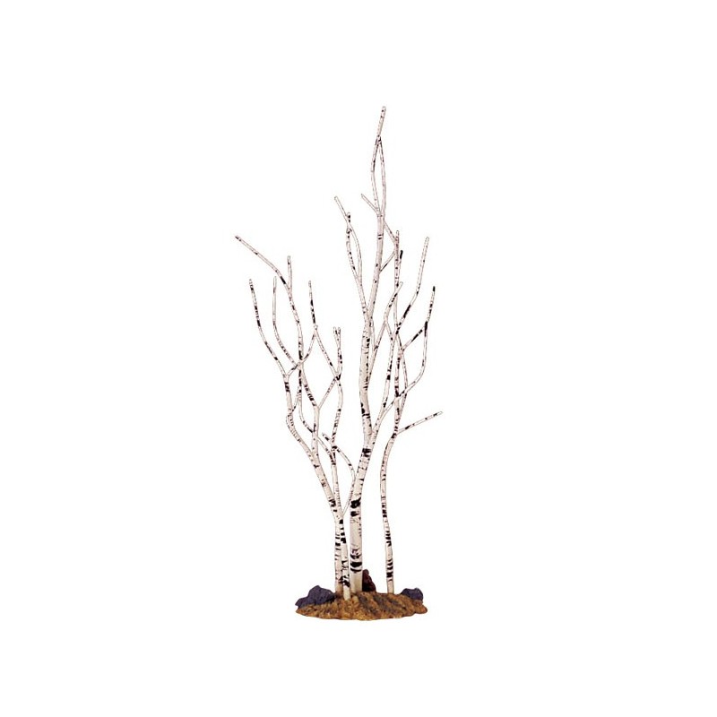 Birch Tree Medium Ref. 34967 Birch Tree Medium Ref. 34967