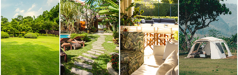 Elimina le zanzare dal tuo giardino