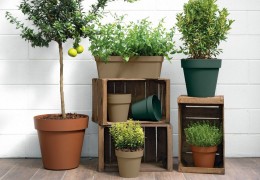 Vasi e Fioriere da Esterno e Interno: Guida Completa alla Scelta