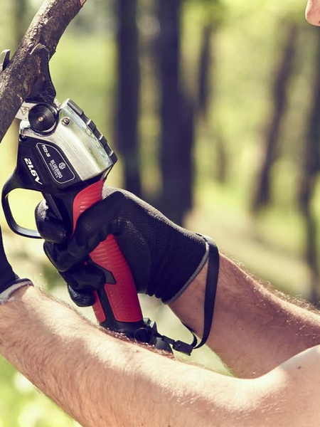 Pruning with shears from the Blue Bird range.