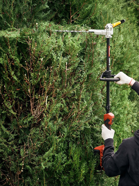 Hedge trimming with a pole hedge trimmer from the Blue Bird range.