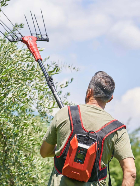 Olive harvesting with the Blue Bird EGEO range.