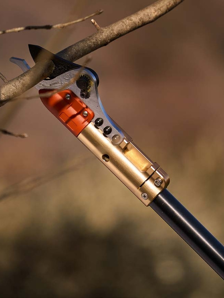 Pruning with shears from the Blue Bird range.