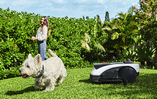 Evitamento ostacoli robot tagliaerba