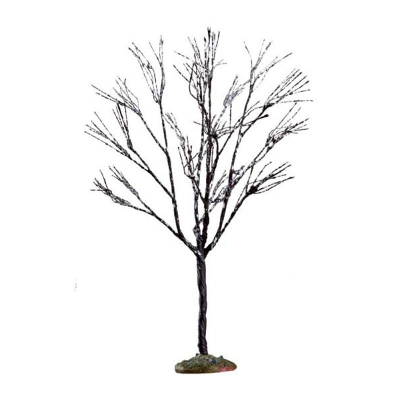 Butternut Tree Small