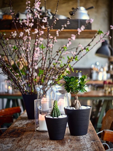 Jarrones y macetas de Teraplast