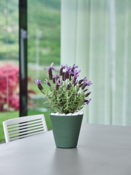 Jarrones y macetas de Teraplast