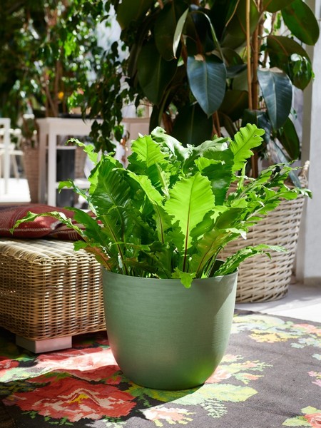 Vasi e Fioriere Teraplast