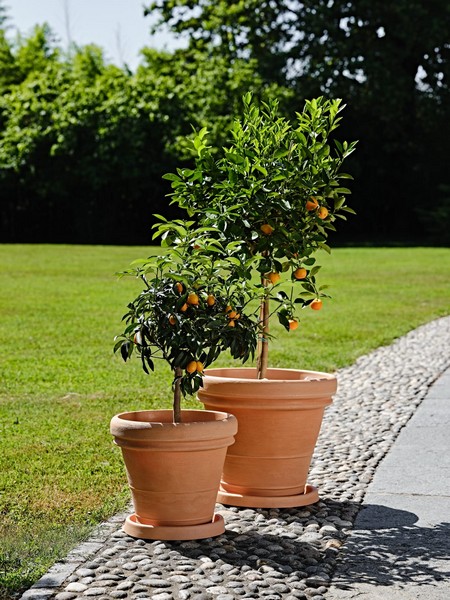 pots et jardinières Teraplast