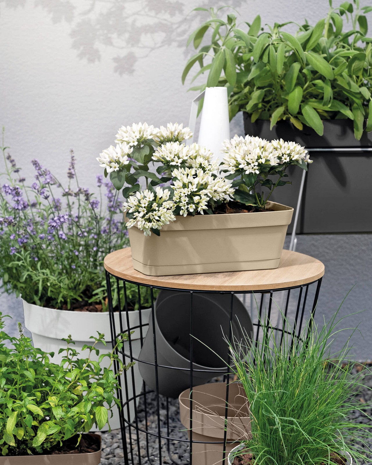 Veca Pots and Planters