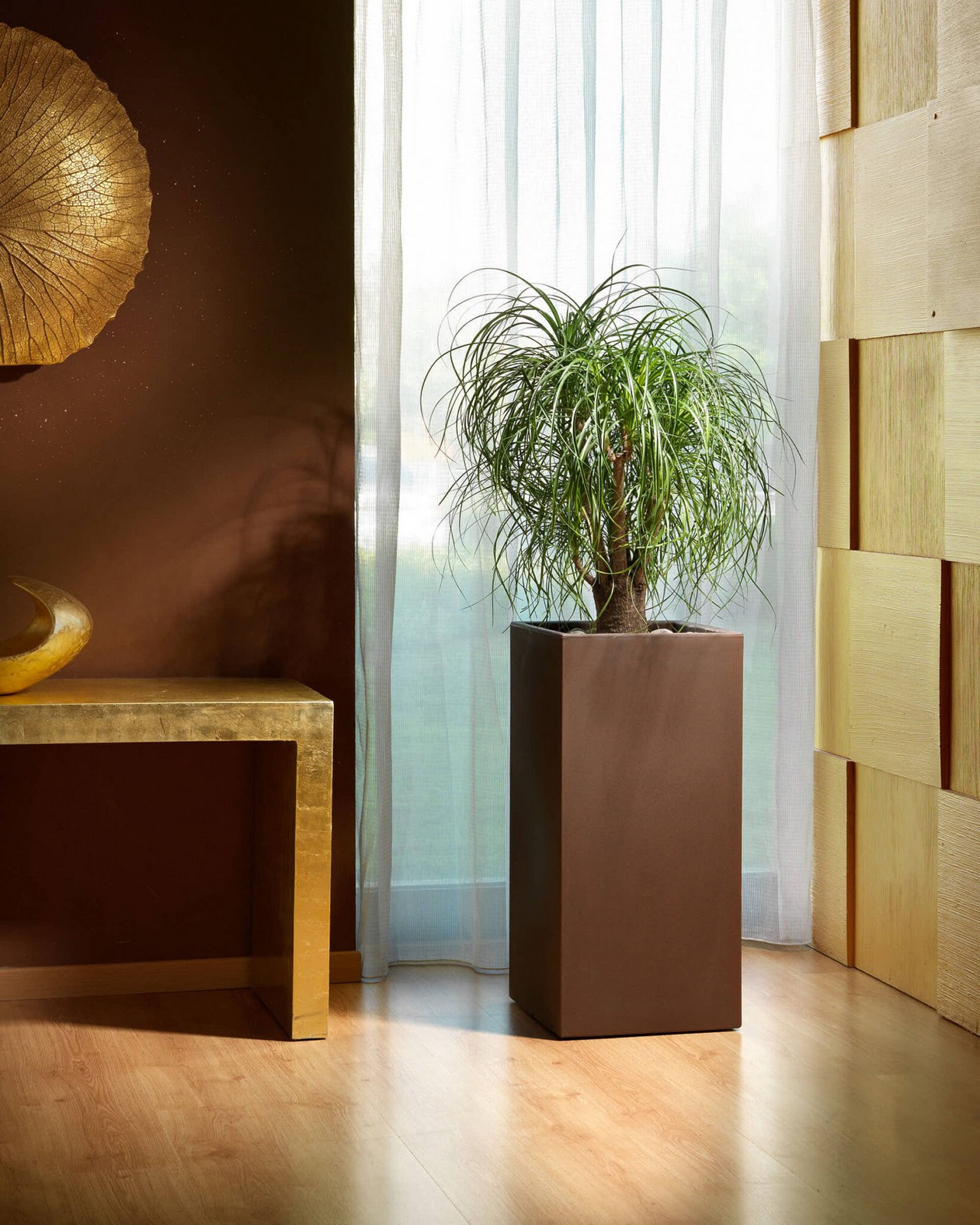 Veca Pots and Planters